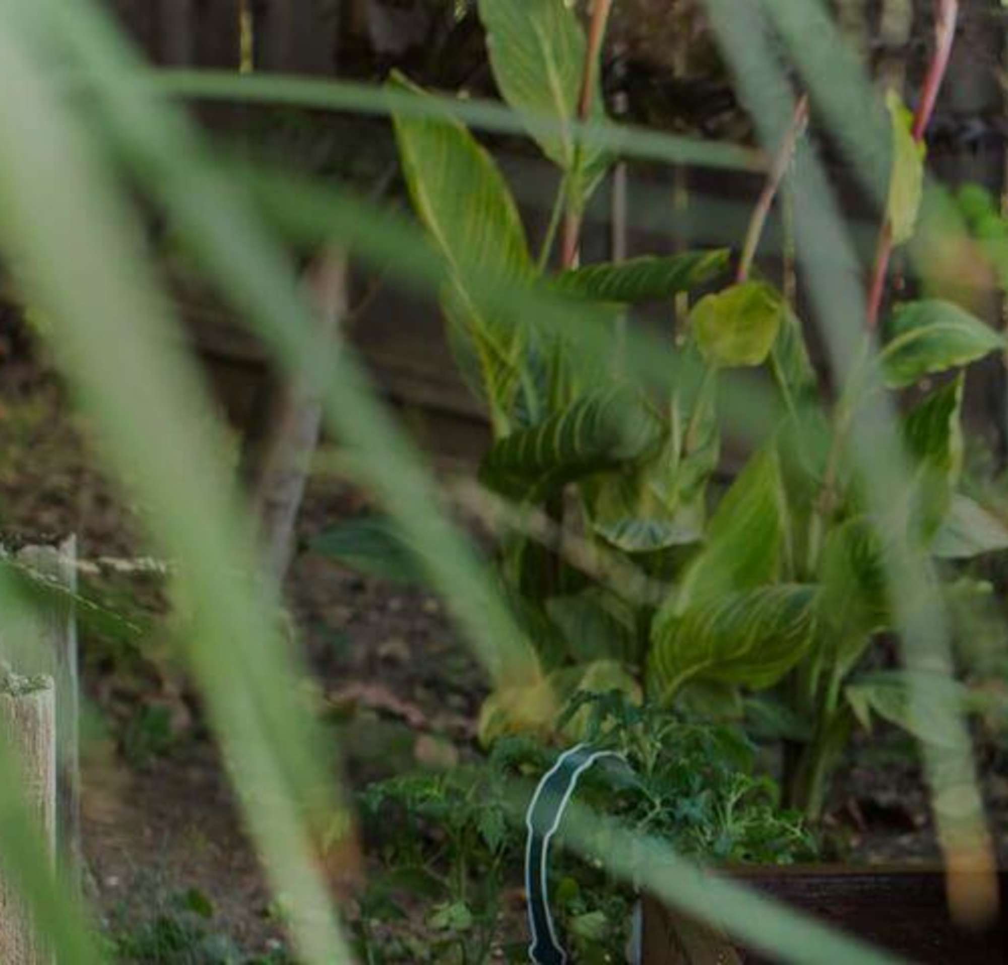 Una mujer haciendo jardinería con un niño.