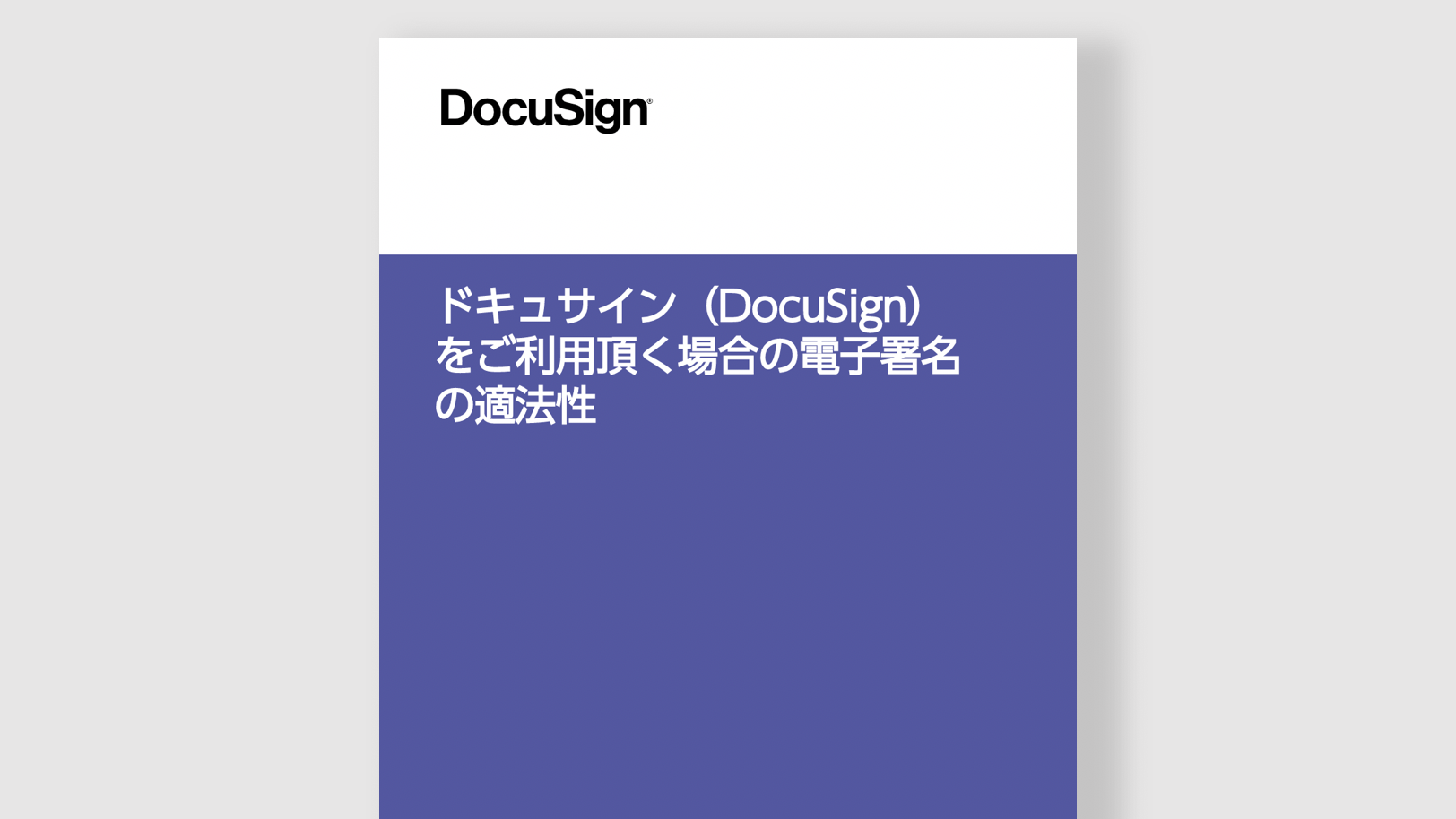 「日本における電子署名の適法性」の資料イメージ